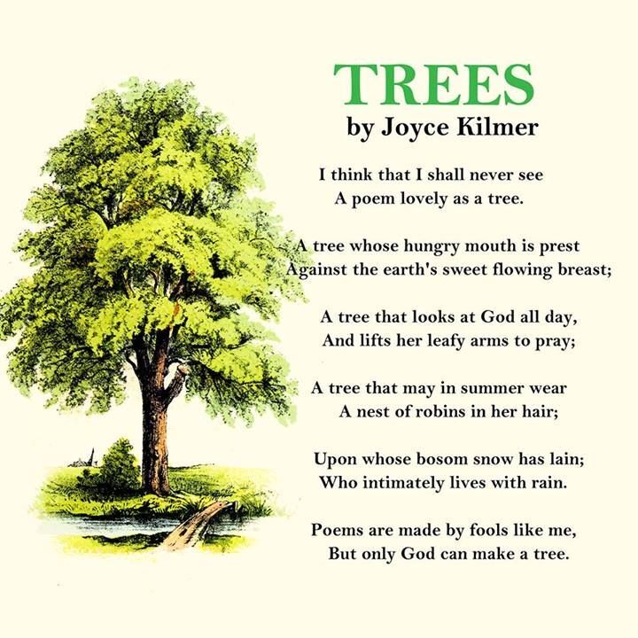 Poem "Trees" by Joyce Kilmer